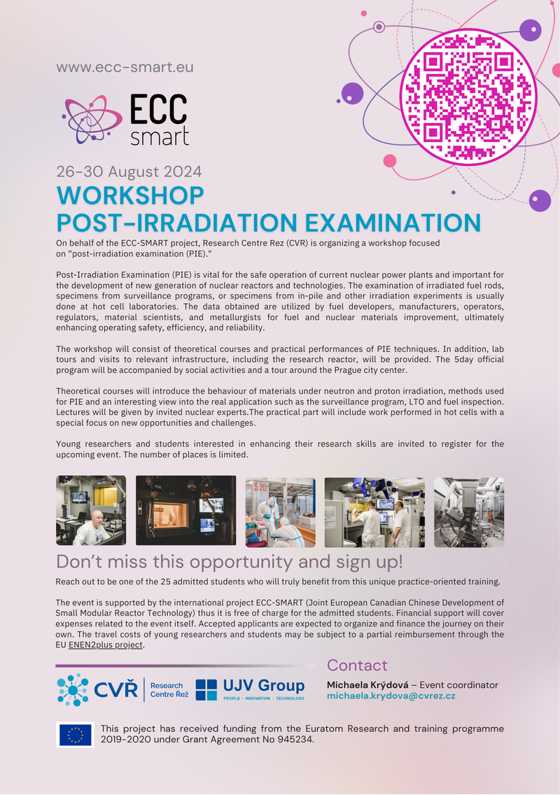 Flyer Worskhop Pots-Irradiation Examination